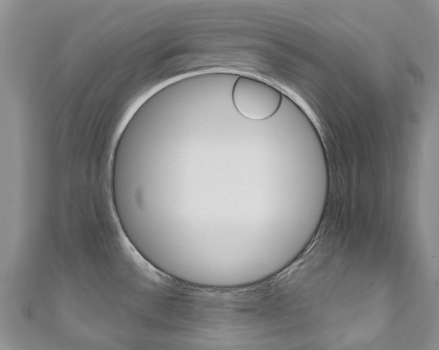 X0000111931532200907271019