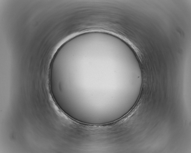 X0000111931534200907271020
