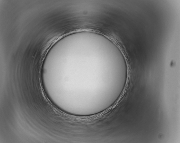 X0000111930001200907271324