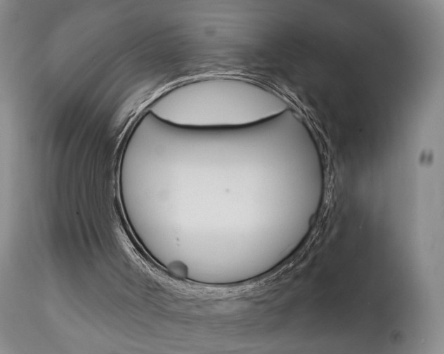 X0000111930002200907271324