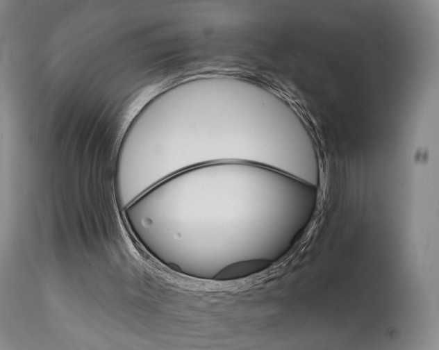 X0000111930003200907271324