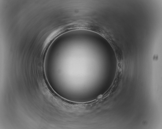 X0000111930004200907271324