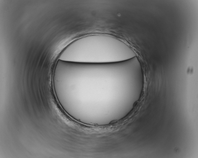 X0000111930005200907271324