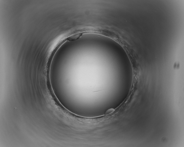 X0000111930006200907271324