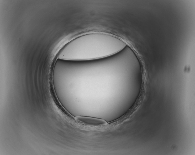 X0000111930007200907271324