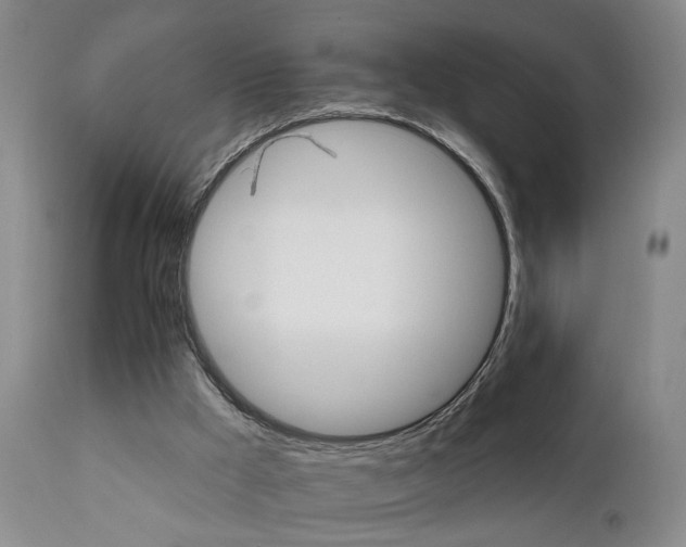 X0000111930009200907271324