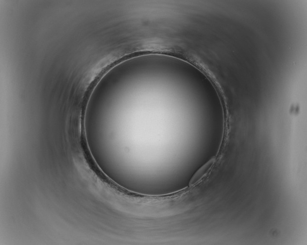 X0000111930011200907271324