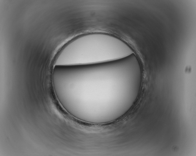 X0000111930012200907271324