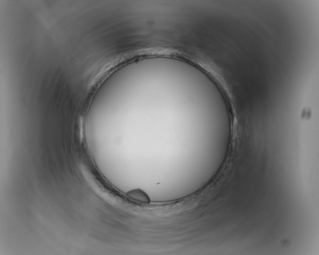 X0000111930013200907271324