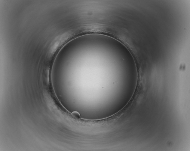 X0000111930014200907271324