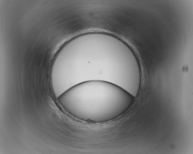 X0000111930015200907271324