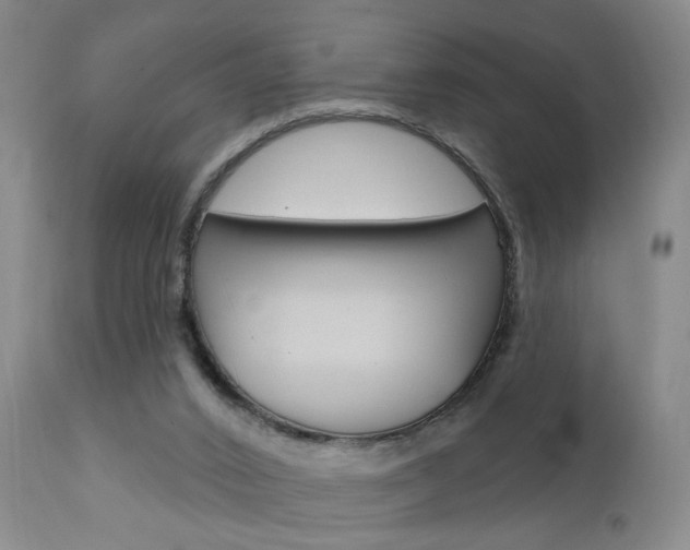X0000111930016200907271324