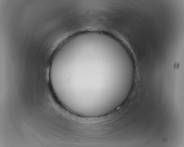 X0000111930019200907271324