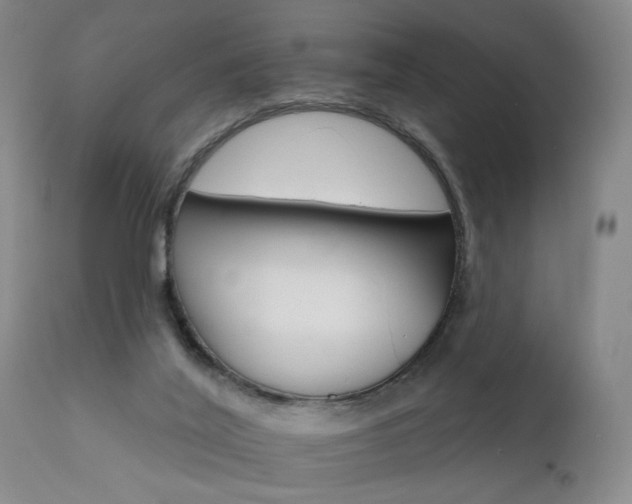 X0000111930020200907271324