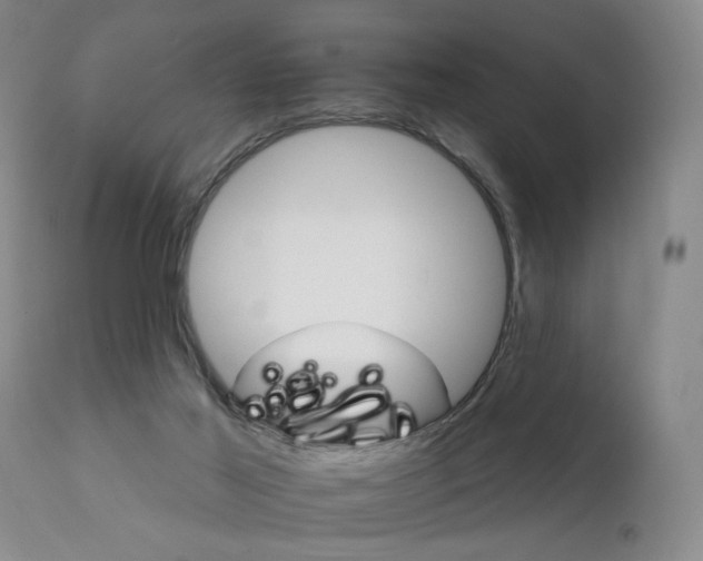 X0000111930021200907271324