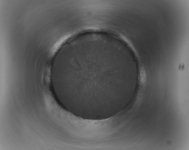X0000111930023200907271324