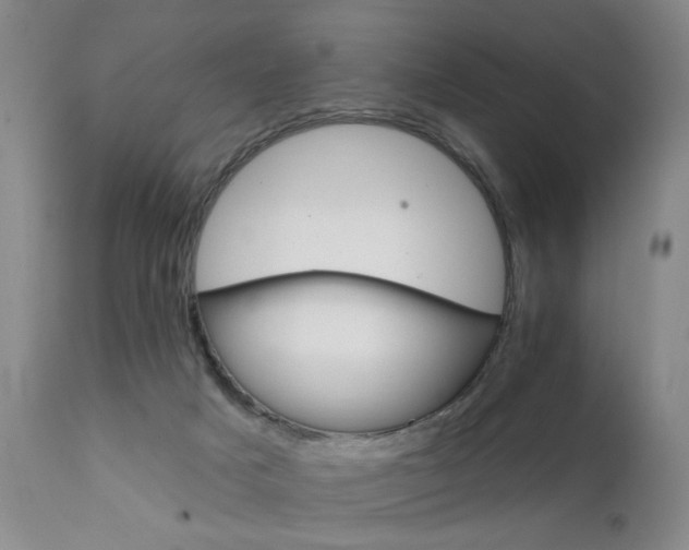 X0000111930025200907271324
