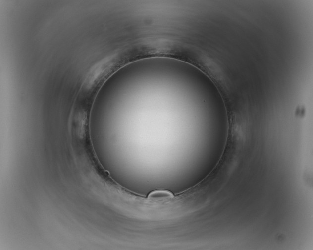 X0000111930026200907271324