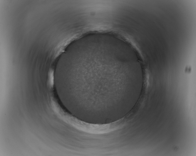 X0000111930027200907271324