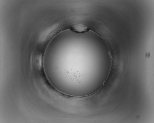 X0000111930028200907271324