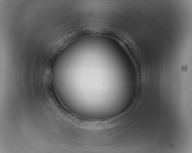 X0000111930029200907271324