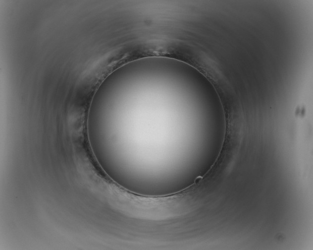X0000111930030200907271324