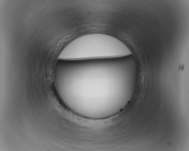 X0000111930031200907271324
