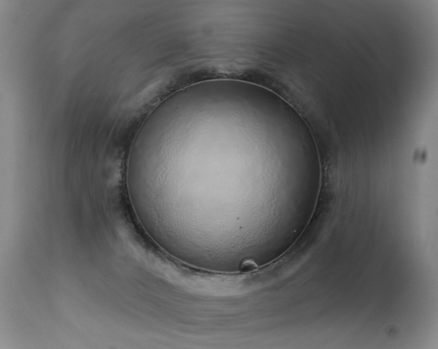 X0000111930032200907271324