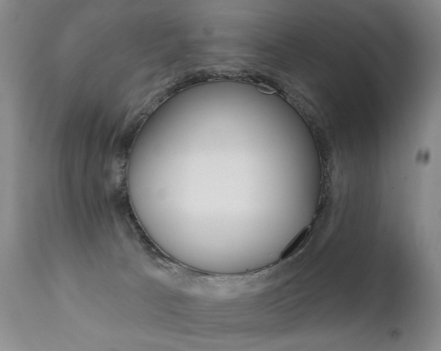 X0000111930033200907271324