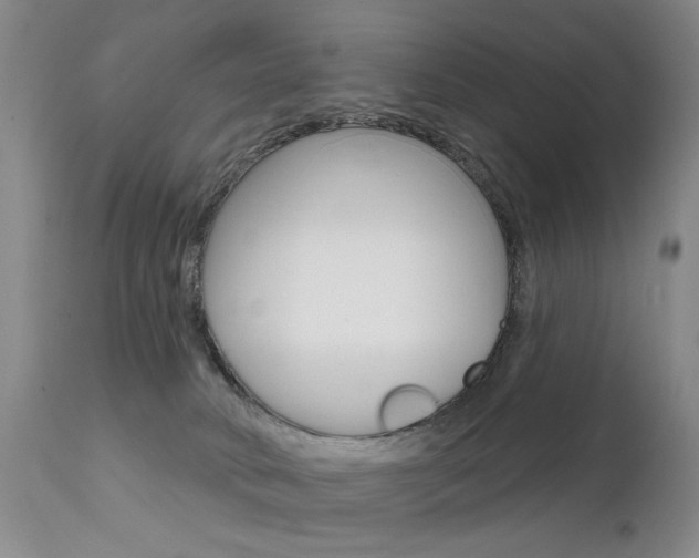 X0000111930034200907271324