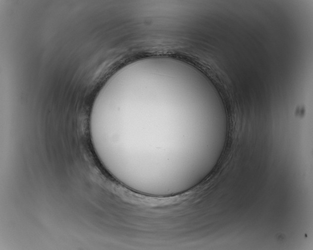 X0000111930035200907271324