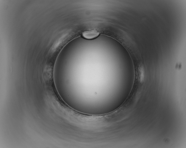 X0000111930036200907271324