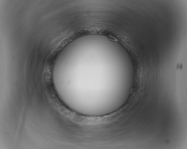X0000111930037200907271324