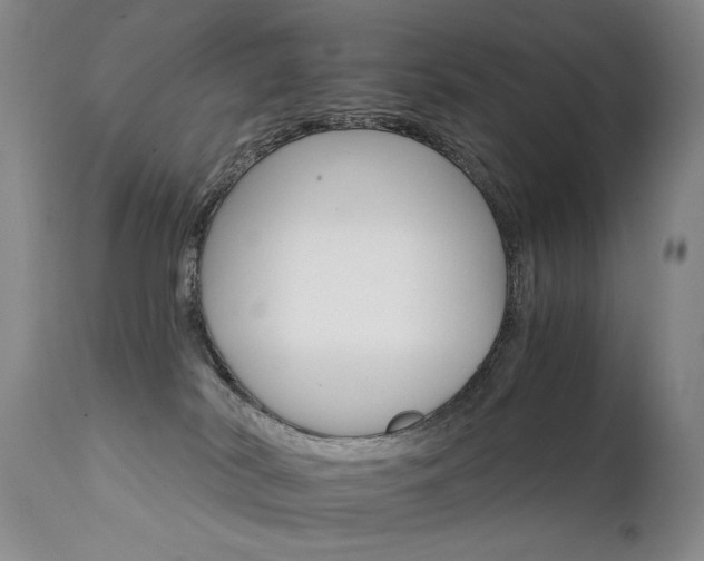 X0000111930038200907271324