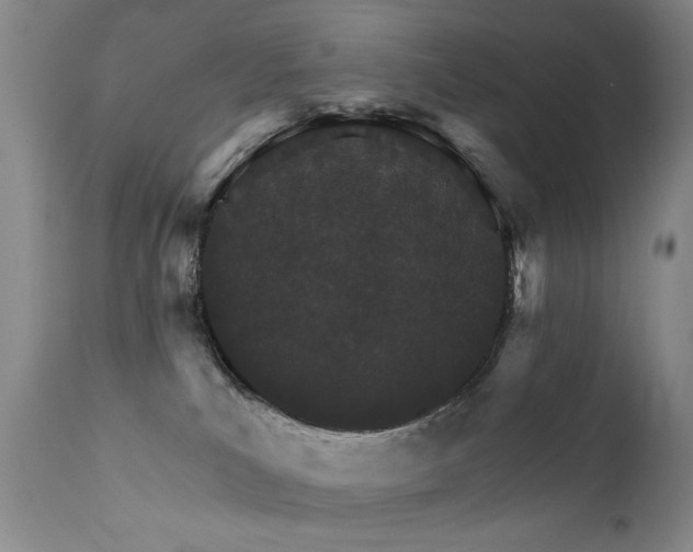 X0000111930039200907271324