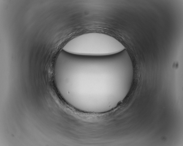 X0000111930040200907271324