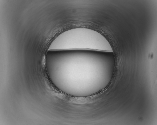 X0000111930041200907271324