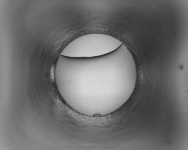 X0000111930042200907271324