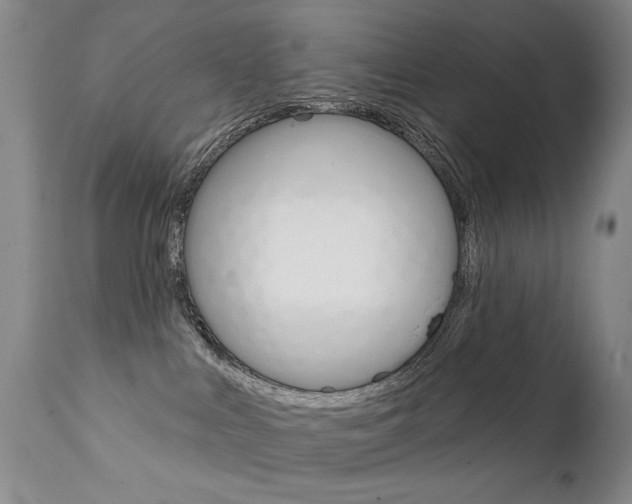 X0000111930043200907271324