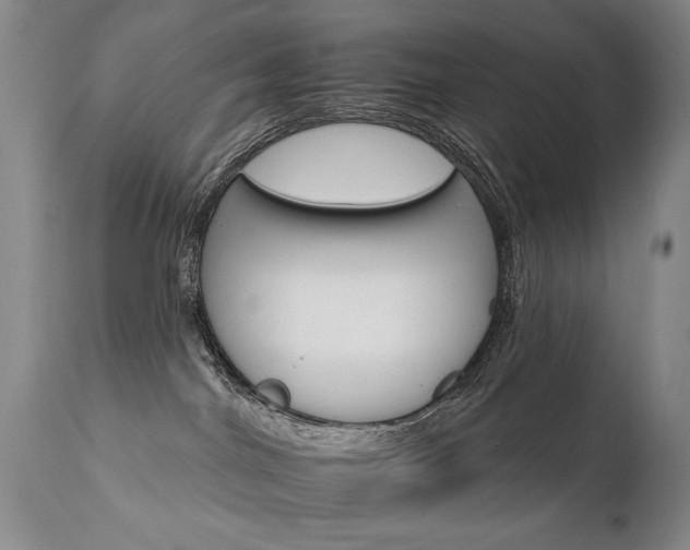 X0000111930044200907271324