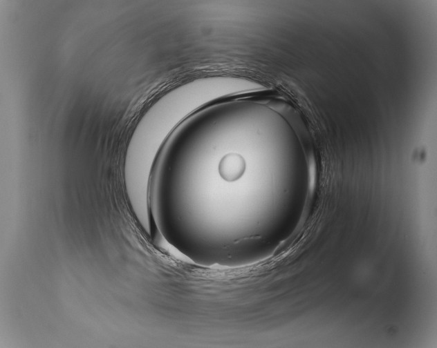 X0000111930045200907271324