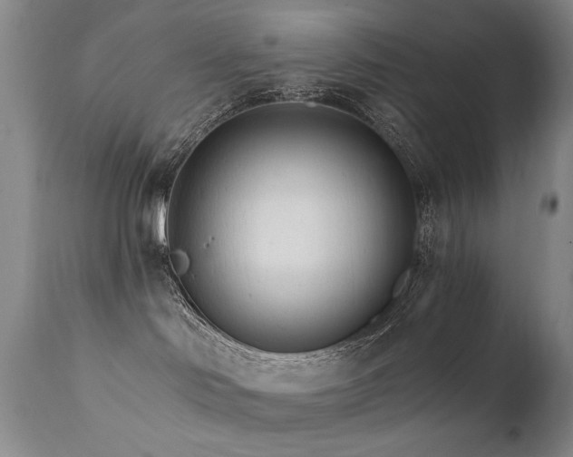 X0000111930046200907271324