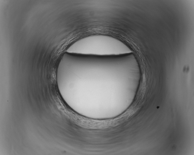 X0000111930048200907271324