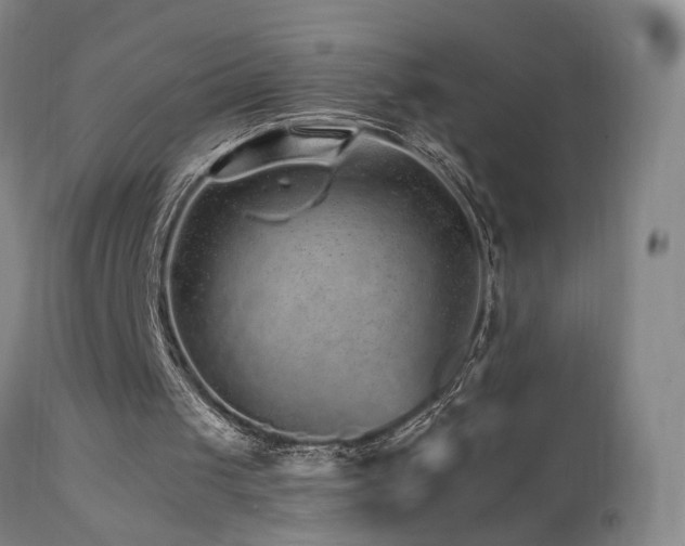 X0000111930049200907271323