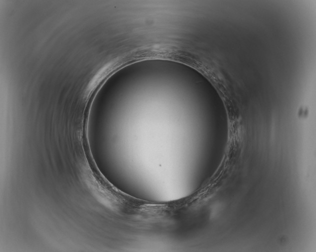 X0000111930051200907271323