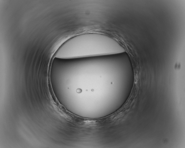 X0000111930052200907271323