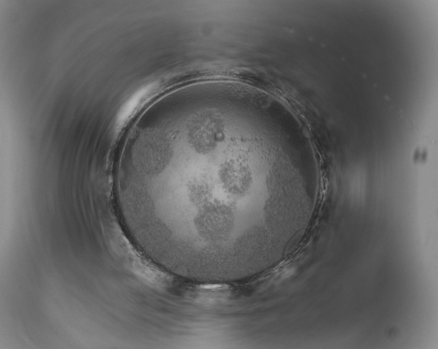 X0000111930053200907271323