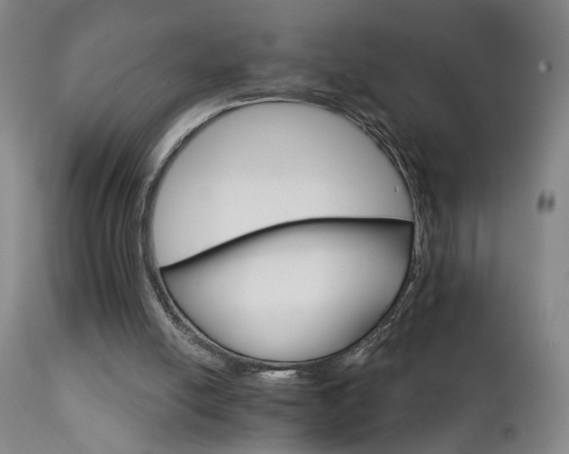 X0000111930054200907271323