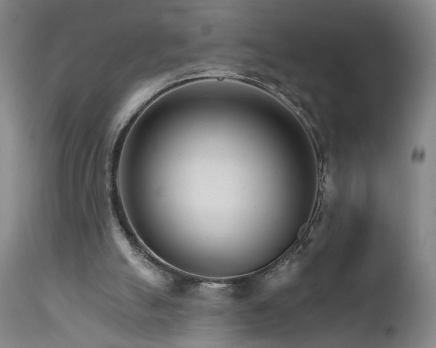X0000111930055200907271323