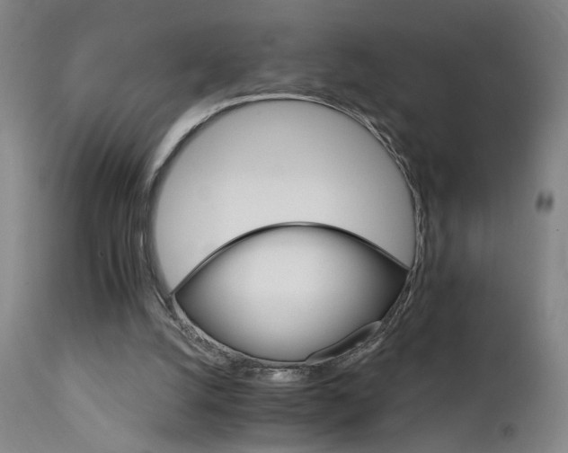 X0000111930056200907271323